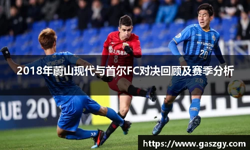 2018年蔚山现代与首尔FC对决回顾及赛季分析